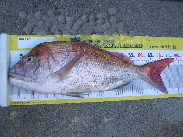 a0132631_19001.jpg
