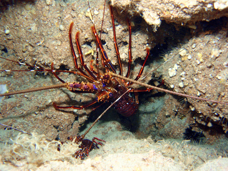 f0014842_18294669.jpg