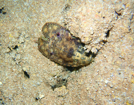 f0014842_18295865.jpg