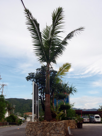 f0014842_1843037.jpg
