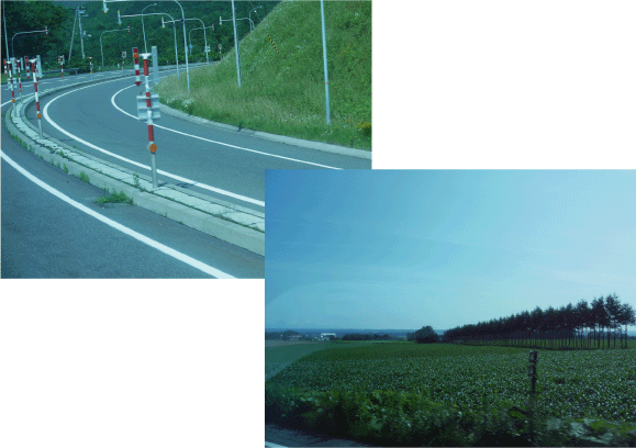 b0182846_21104498.gif