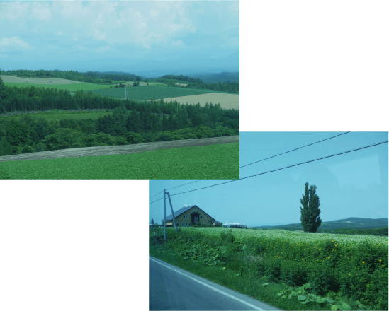 b0182846_21292138.gif