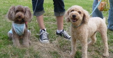 e0121548_2039512.jpg