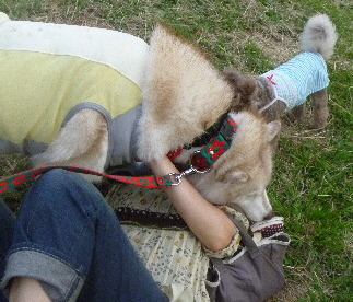 e0121548_21101742.jpg