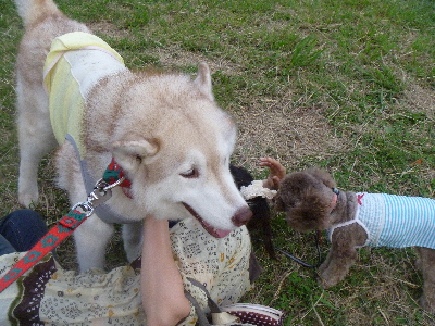 e0121548_2130025.jpg