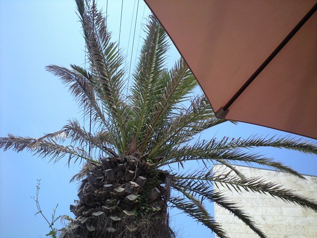 b0002156_23282818.jpg