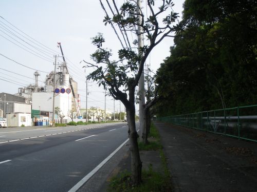 b0206463_17123173.jpg
