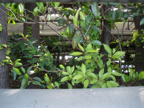 b0206463_17134110.jpg