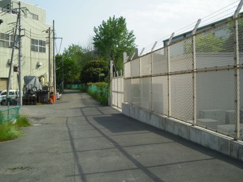 b0206463_1781857.jpg
