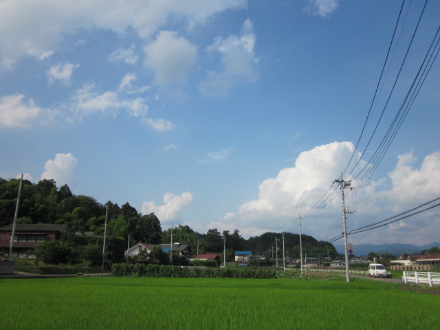 a0120264_16364983.jpg
