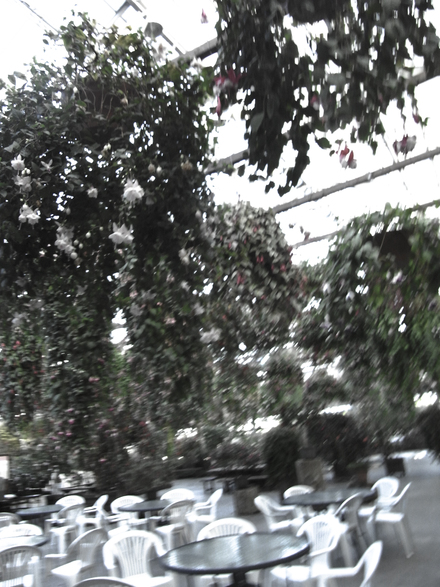 b0122664_13542.jpg