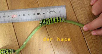 e0135073_23474221.jpg
