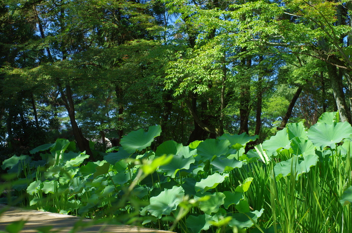 a0142976_17304198.jpg