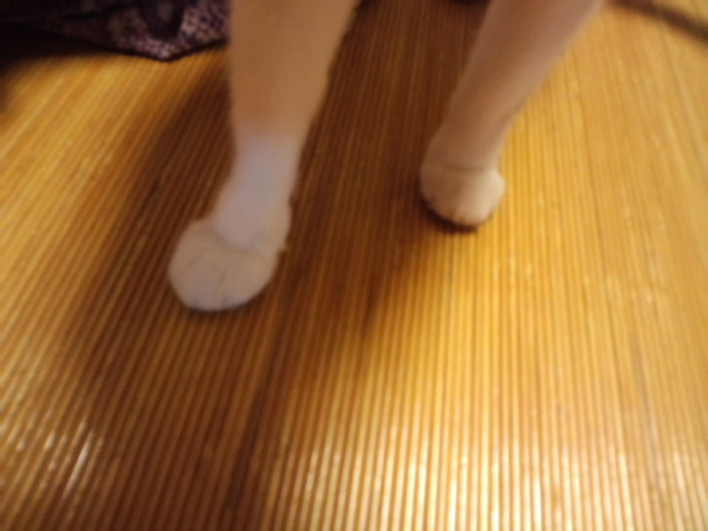 c0047979_21435783.jpg