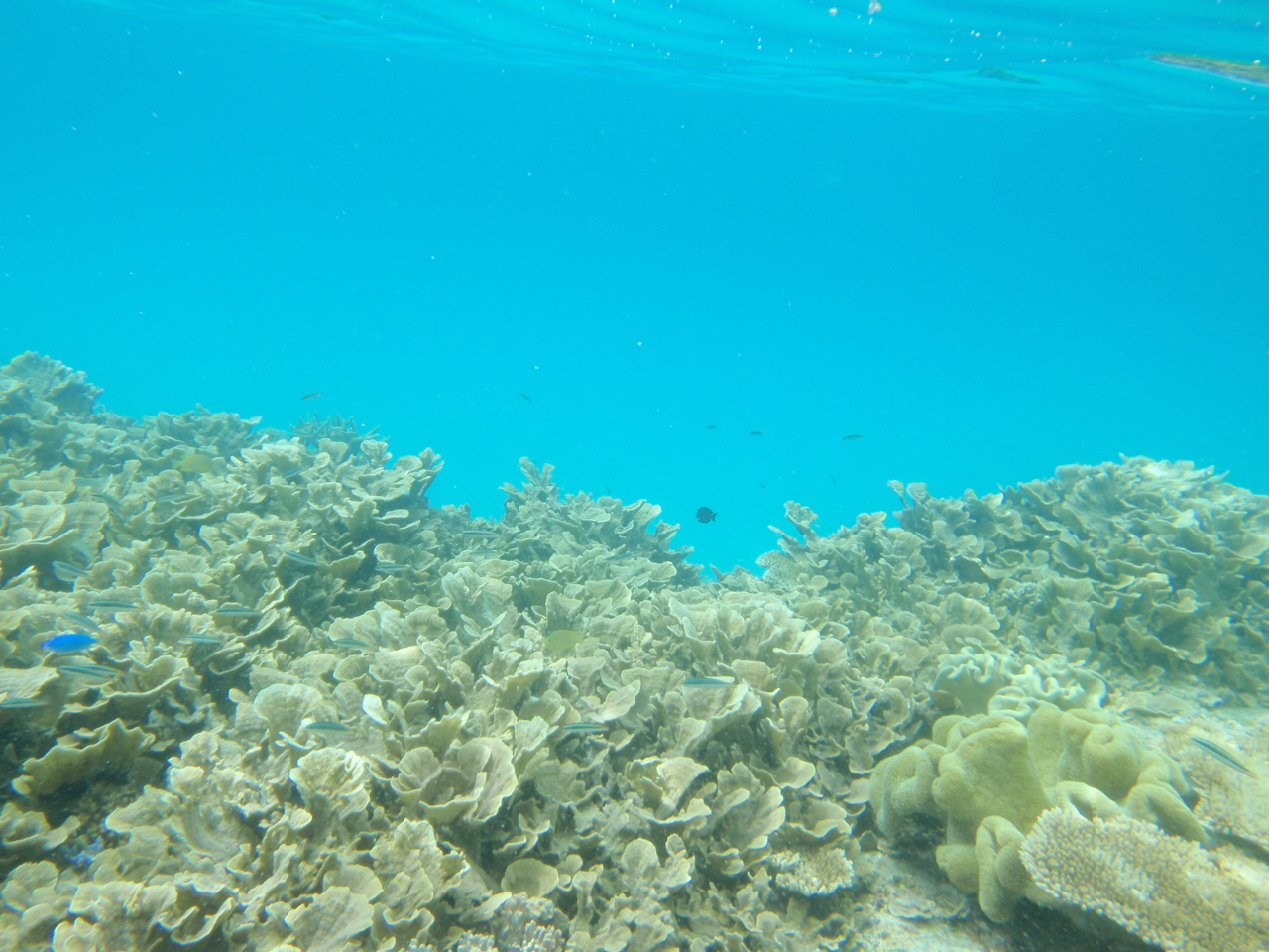 d0251583_17194989.jpg