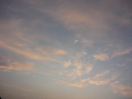 a0152785_224895.jpg