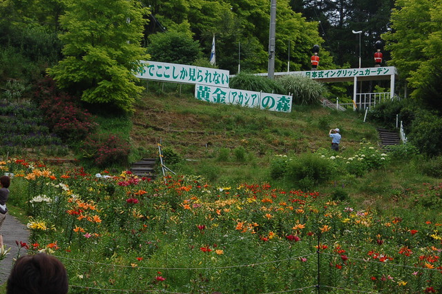 b0203588_725236.jpg
