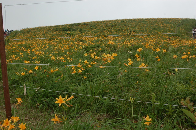 b0203588_727910.jpg