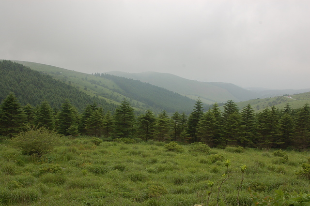 b0203588_7291733.jpg