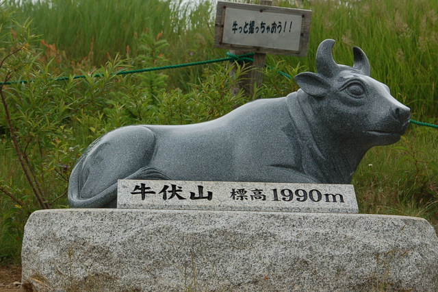 b0203588_7305122.jpg