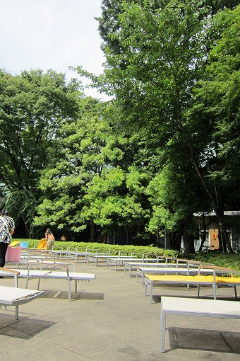 e0160595_1323098.jpg