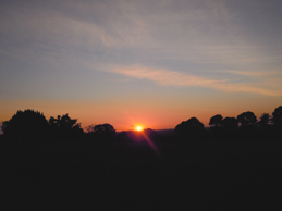 e0206902_2571350.jpg