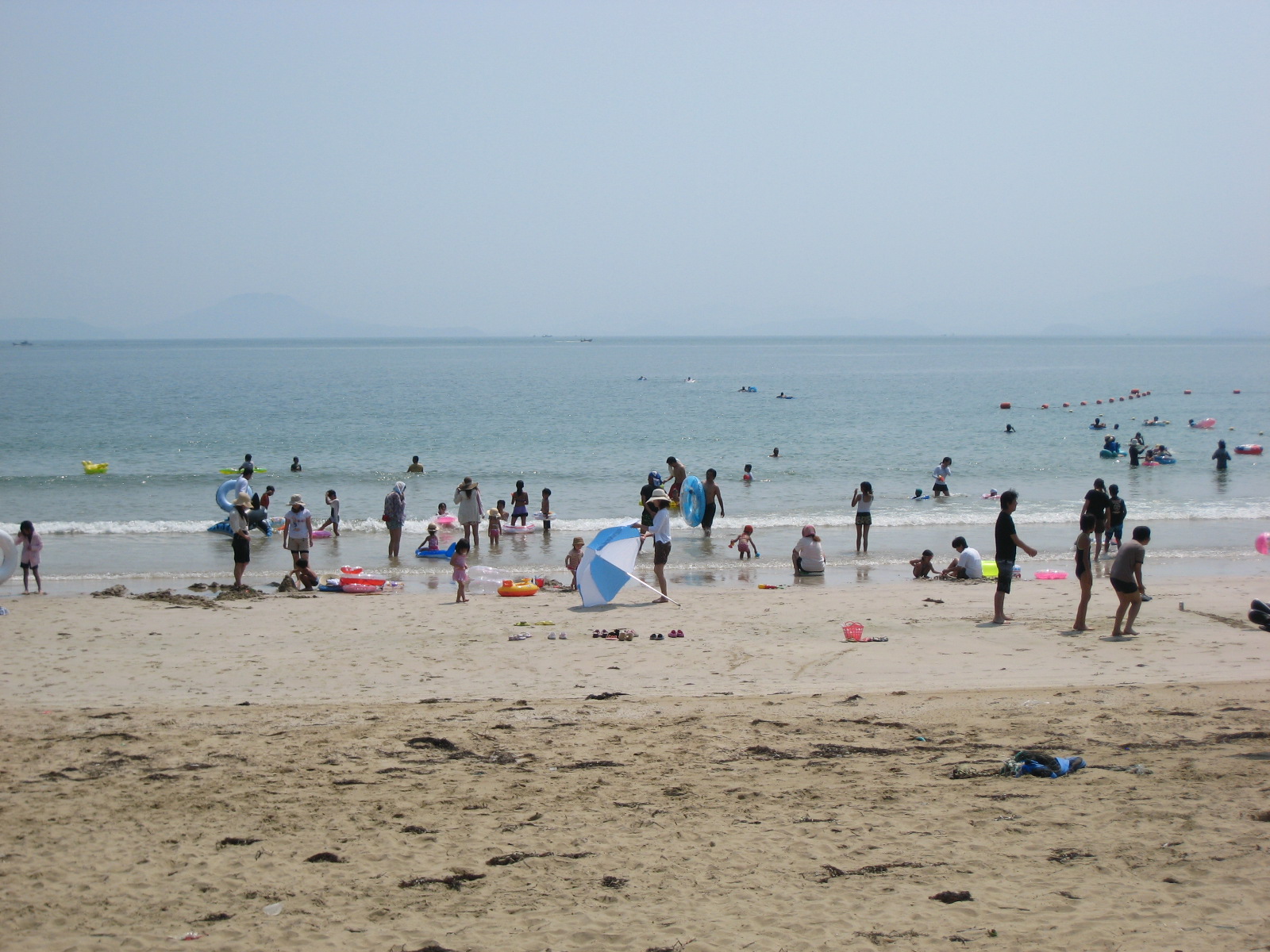 e0216602_6502887.jpg