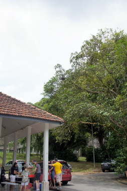 c0148705_7372129.jpg