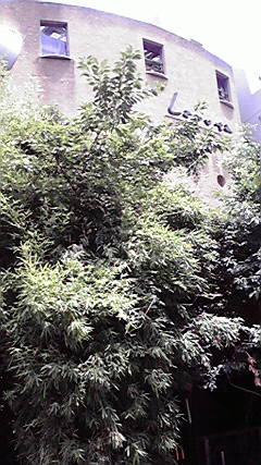 f0112506_16401328.jpg