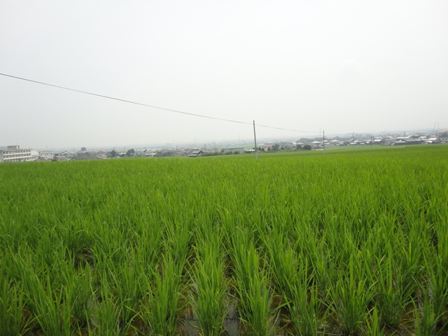 f0231709_22251539.jpg