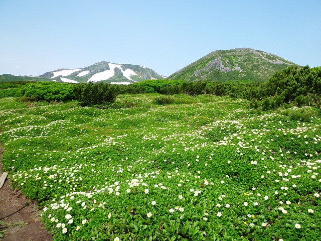 d0170615_20294070.jpg
