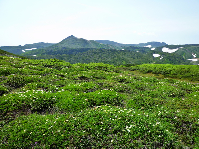 d0170615_20296100.jpg