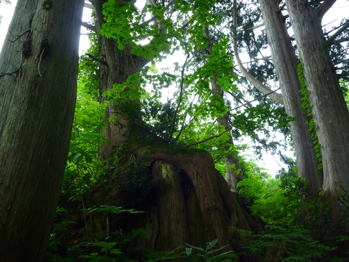 f0028123_2252188.jpg