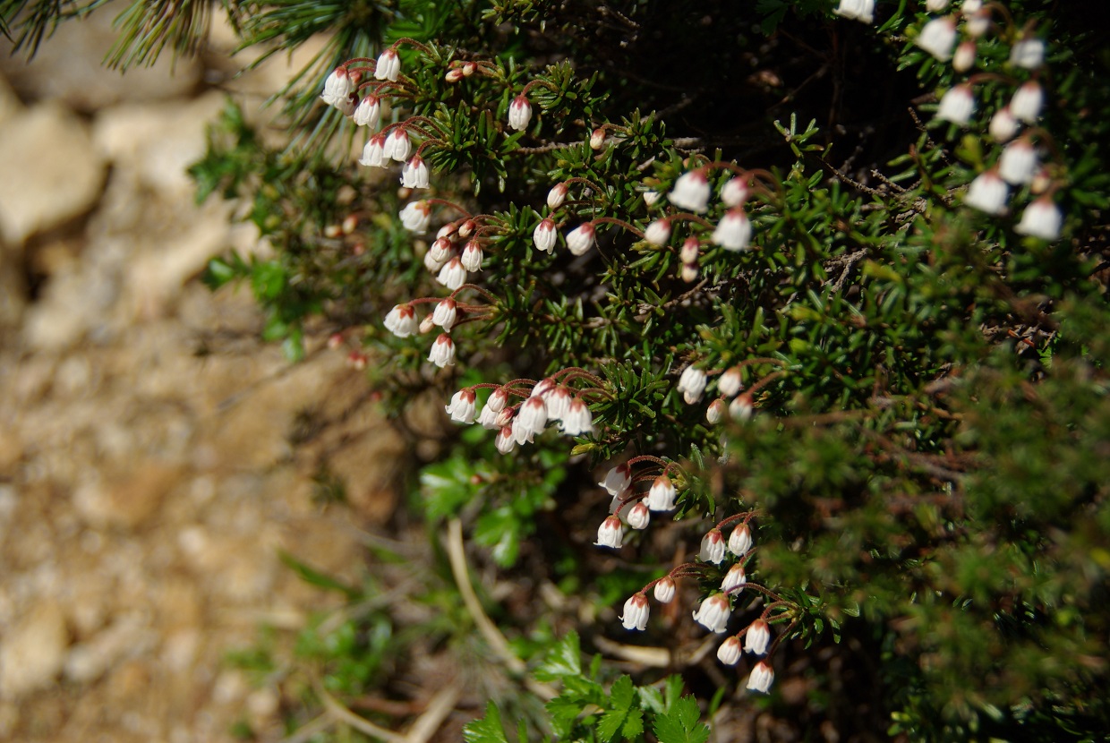 b0062024_0442817.jpg