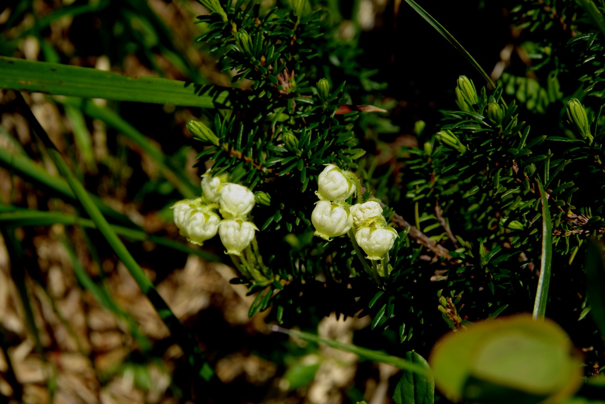 b0062024_0454399.jpg