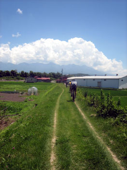 d0070327_18225618.jpg