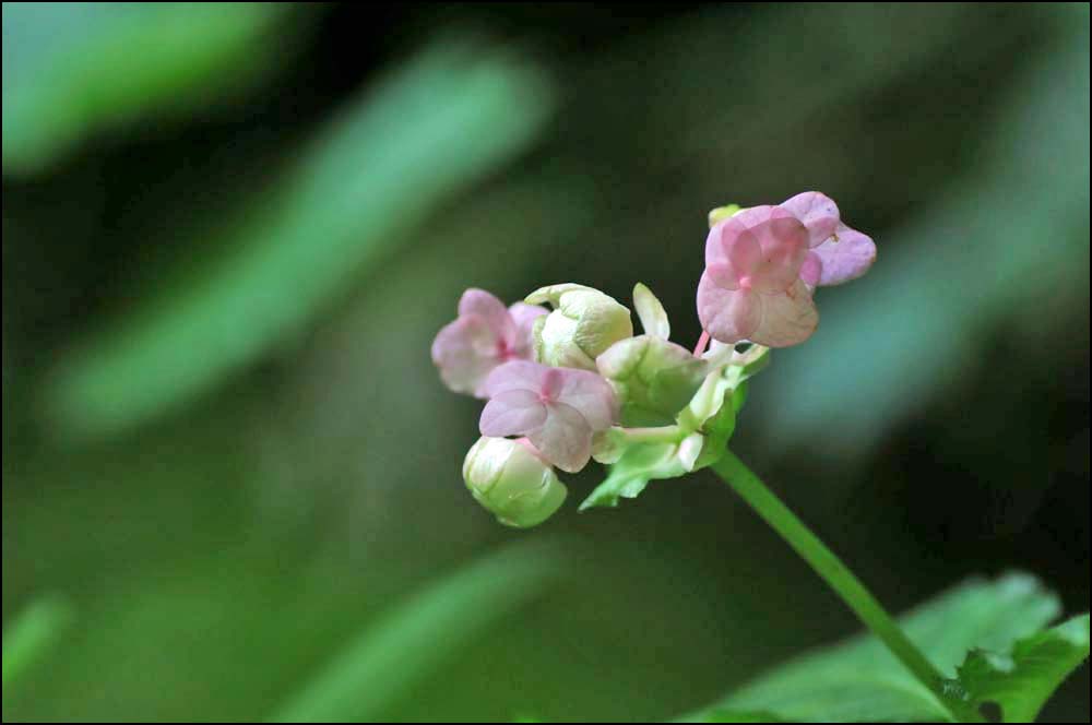 d0029829_4563437.jpg