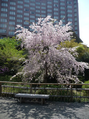 b0035734_11503662.jpg