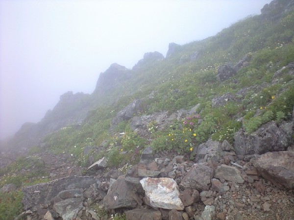 d0107938_12274985.jpg