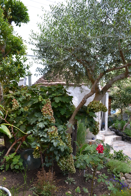 e0228938_18212537.jpg