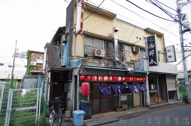 a0009142_23244682.jpg