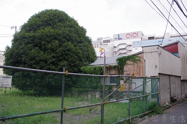 a0009142_23264546.jpg