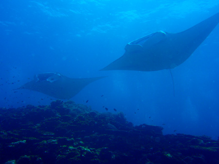 f0014842_17291234.jpg