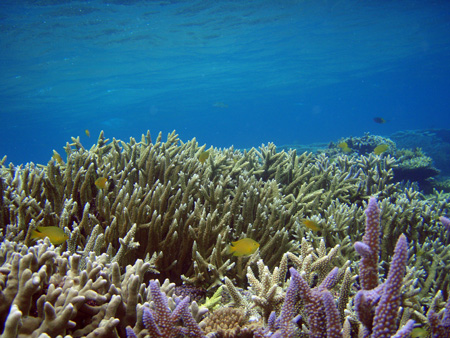 f0014842_17375967.jpg