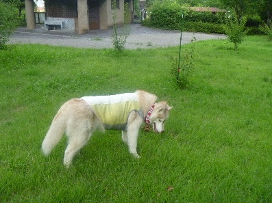 e0121548_21362099.jpg