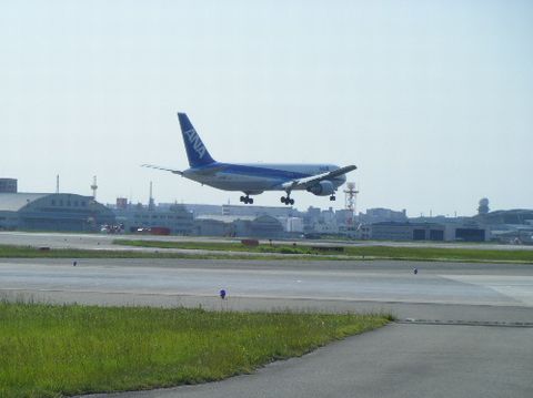 a0090451_1545372.jpg