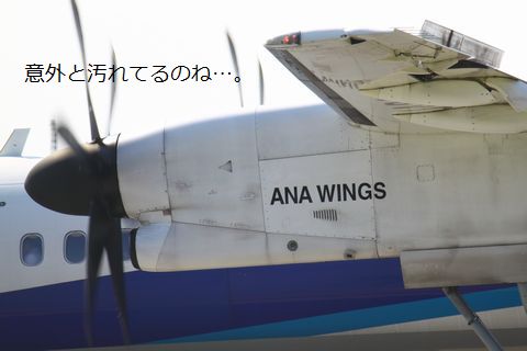 a0090451_15465310.jpg