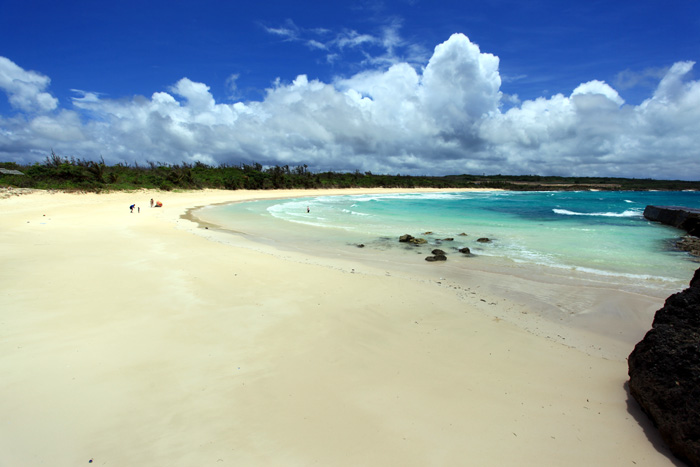 b0049152_20442952.jpg