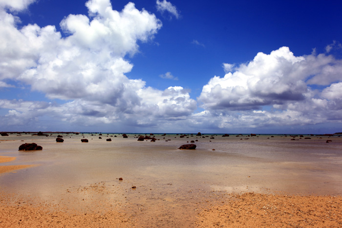 b0049152_20522328.jpg