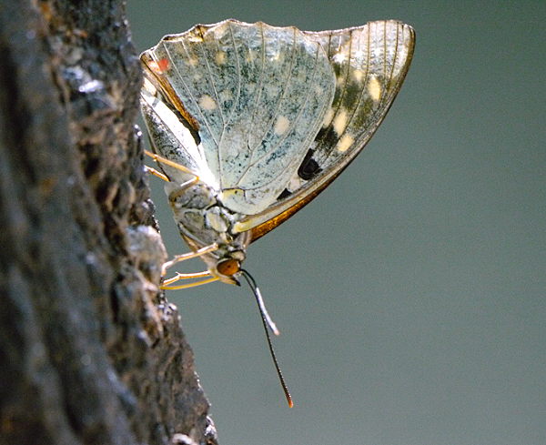 d0091754_0352162.jpg